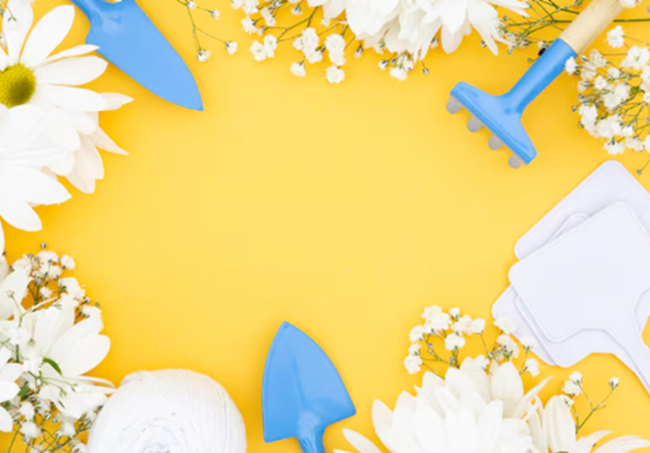 Bargain Basement Spring Cleaning